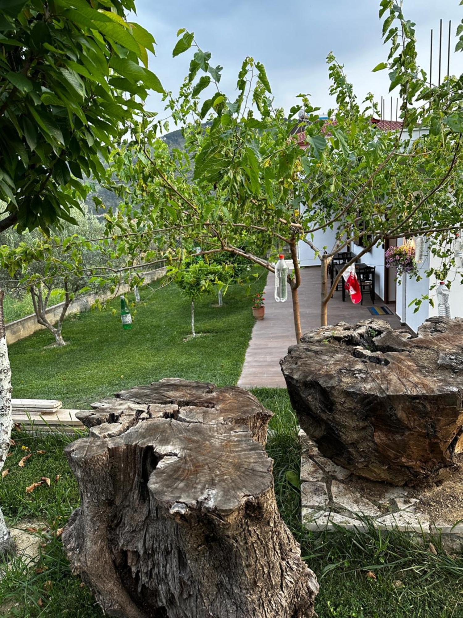 Guest House Gorani Berat Bagian luar foto